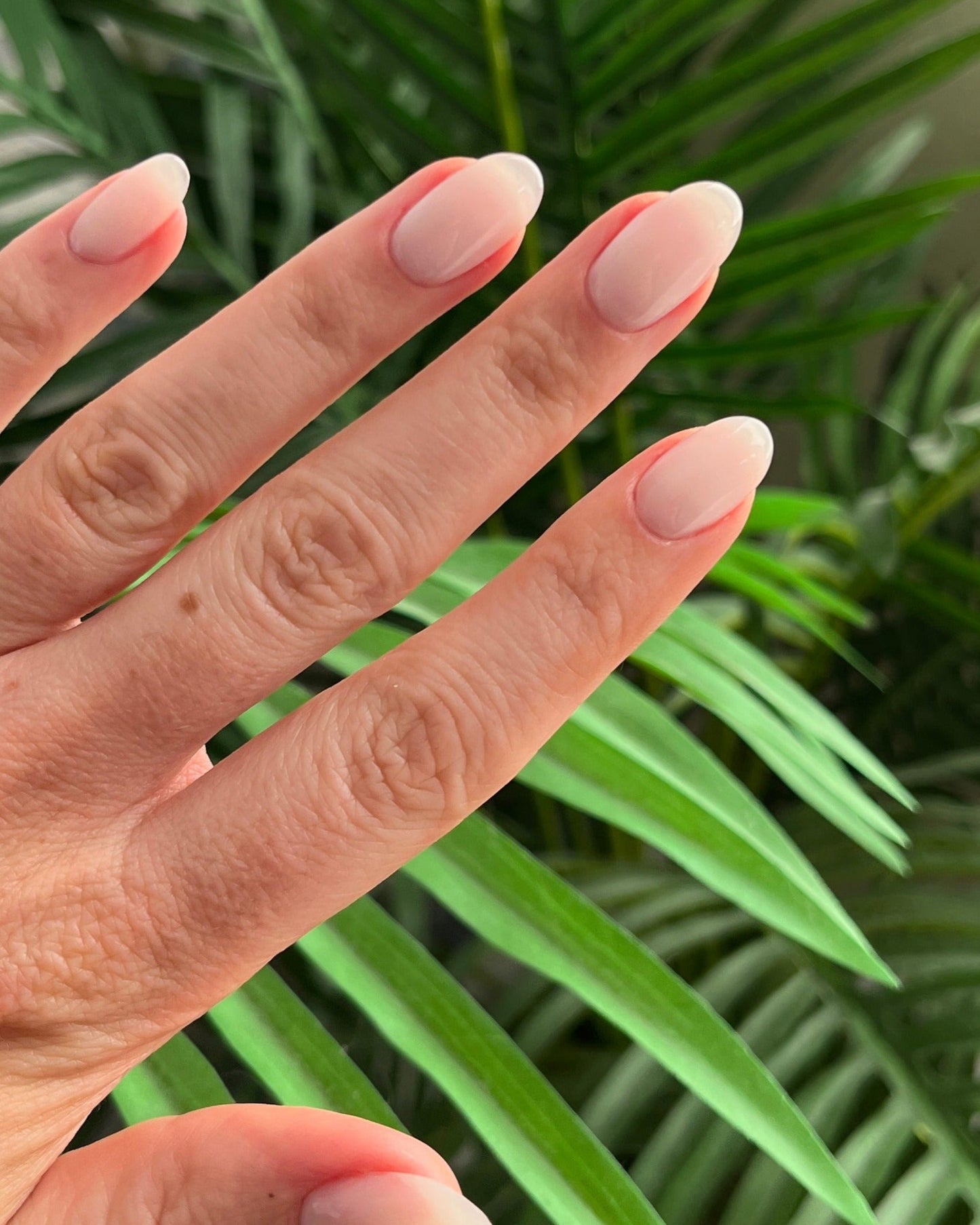 Attain Color - Vellum