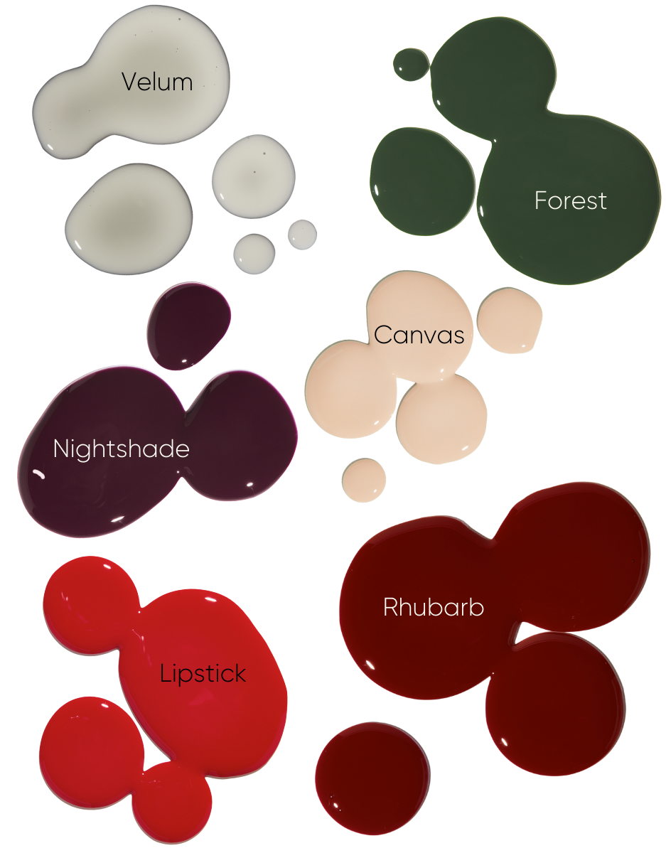 The Attain Color Kit